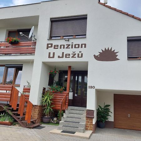 Penzion U Jezu - Ubytovani Pasohlávky Kültér fotó